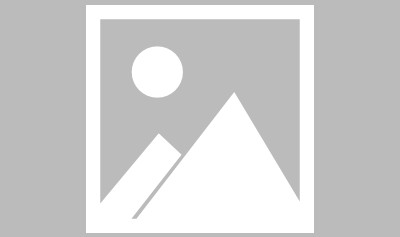 世界杯-【布鲁克林网事】社交媒体上的KD活跃得像高仿号